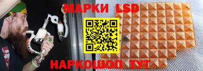 гидропоника Краснознаменск