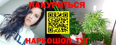гидропоника Краснознаменск